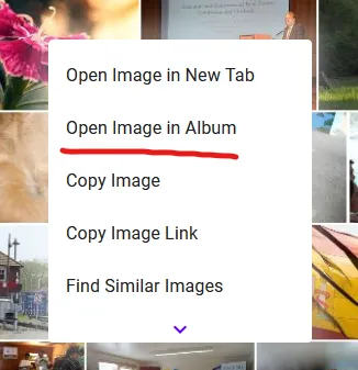 Screenshot showing a context menu with options: 'Open Image in New Tab', highlighted option 'Open Image in Album', 'Copy Image', 'Copy Image Link' and 'Find Similar Images'. The menu has a downward pointing "expand" arrow.